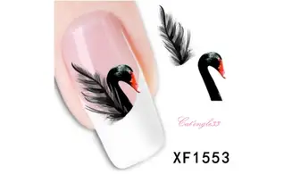 Water decal animaux cygne noir XF1553