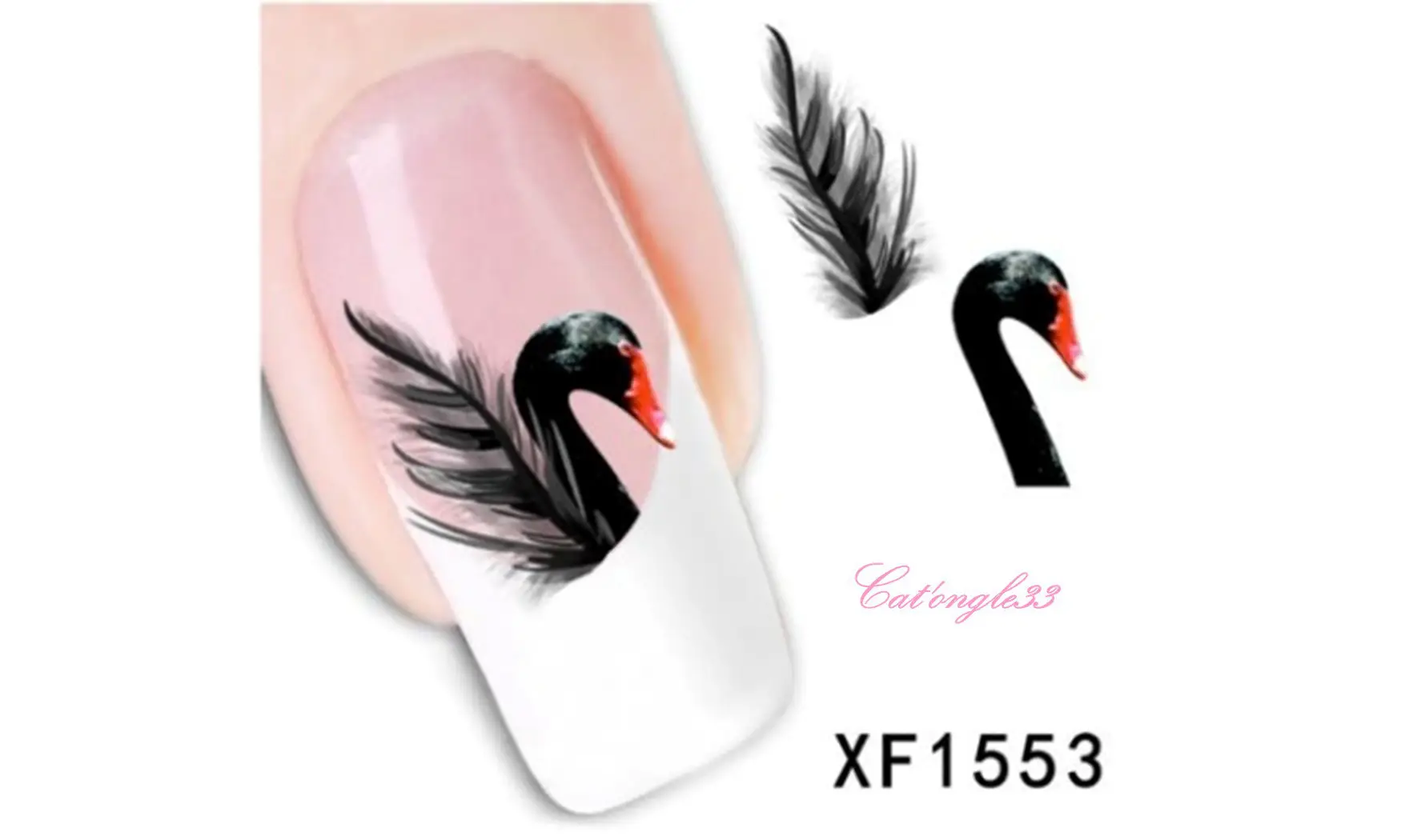 Water decal animaux cygne noir XF1553