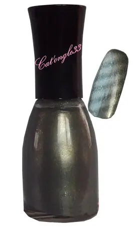 Vernis magnétique gris argenté clair 034