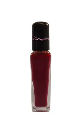 Vernis liner raisin opaque 09