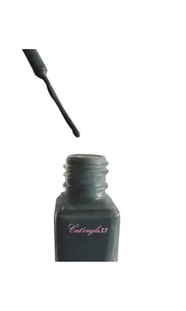 Vernis liner gris 38