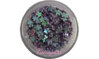 Dazzling hologramme fleurs parme