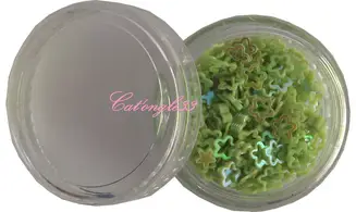 Dazzling hologramme fleur/étoile verte