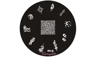 Plaque stamping H15 ronde nail art