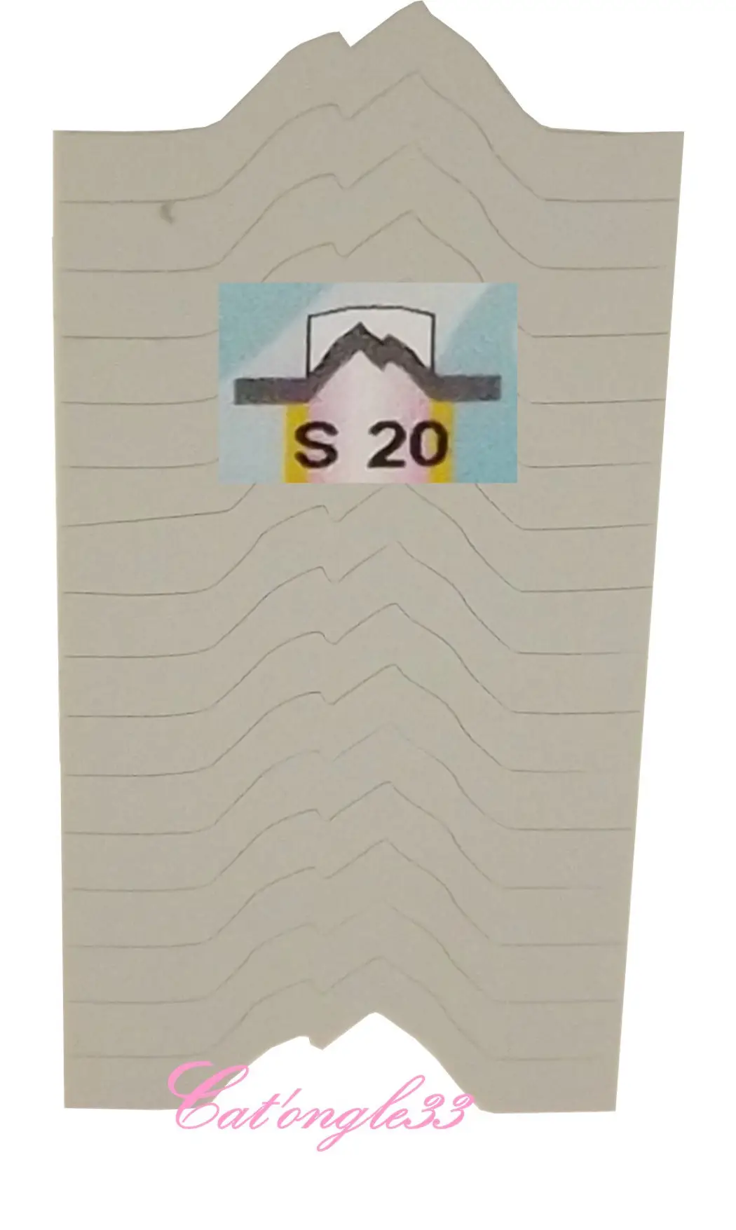 Guide french Montagne forme S20