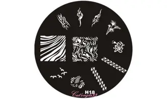 Plaque stamping H18 ronde nail art
