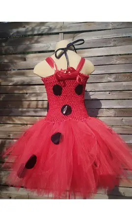 Ladybug Miraculus