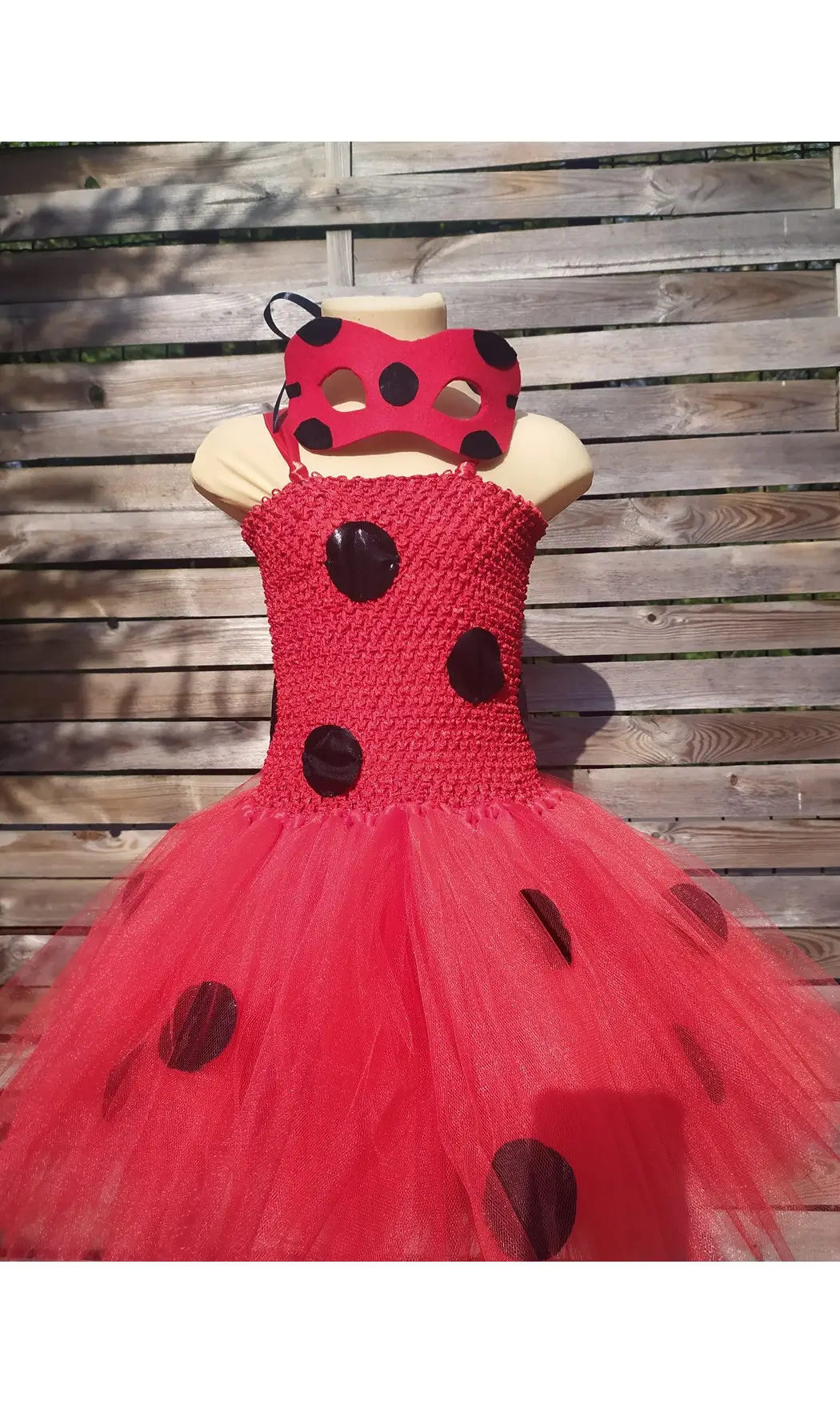 Ladybug Miraculus