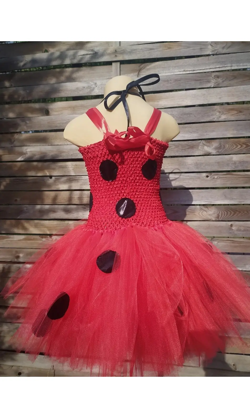 Ladybug Miraculus