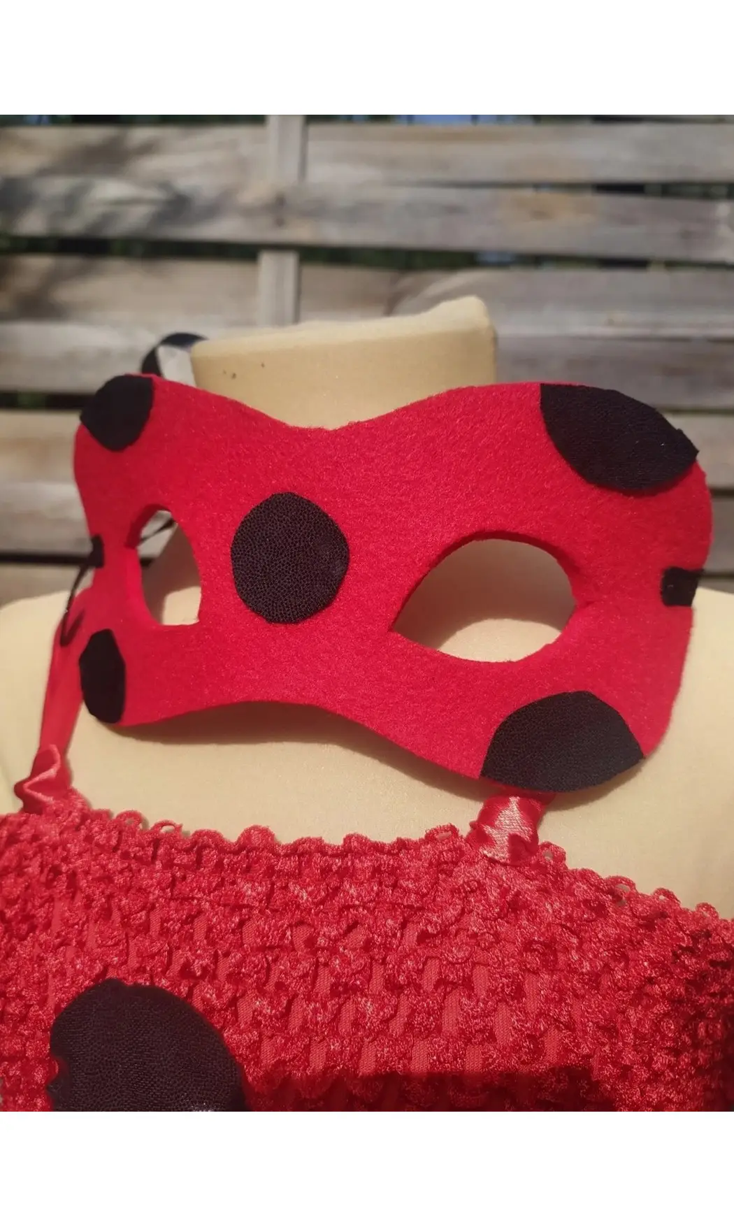 Ladybug Miraculus