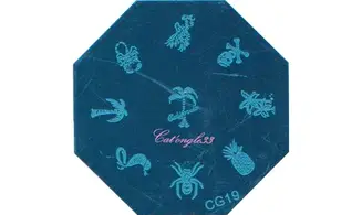 Plaque stamping CG19 nail art