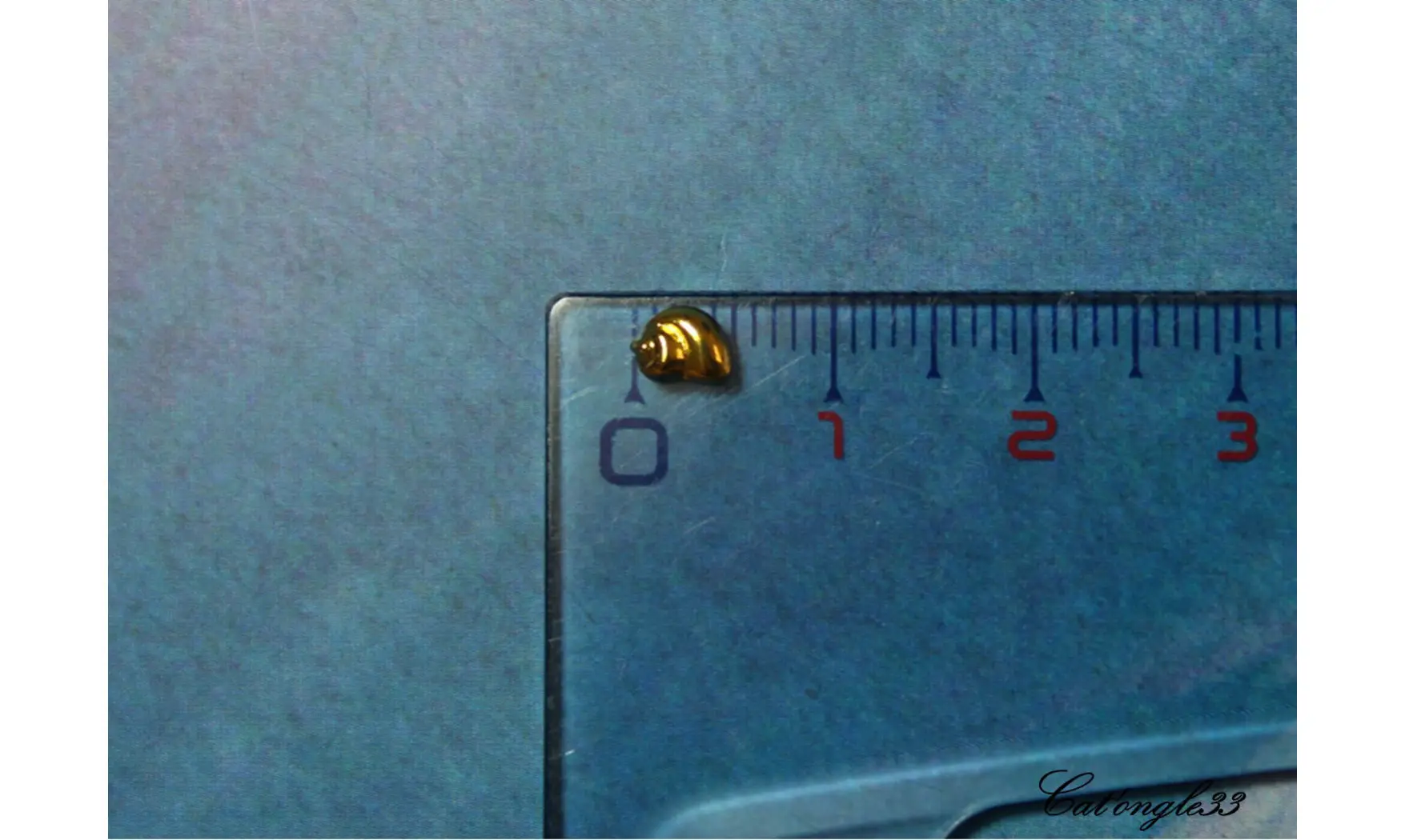 Forme métal 3D coquillage escargot 1 x5