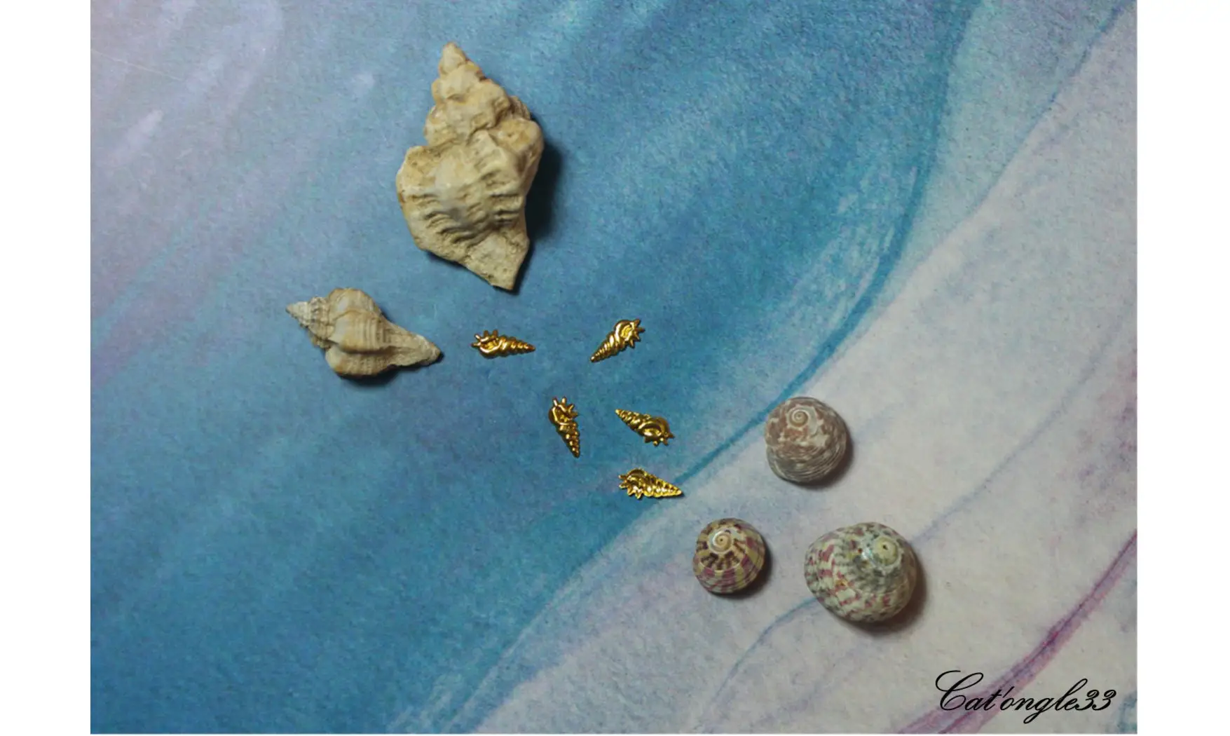 Forme métal 3D coquillage escargot 3 x5