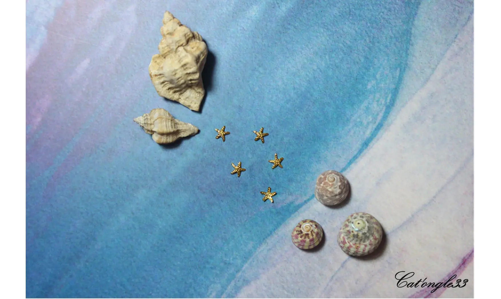 Forme métal 3D étoile de mer x5