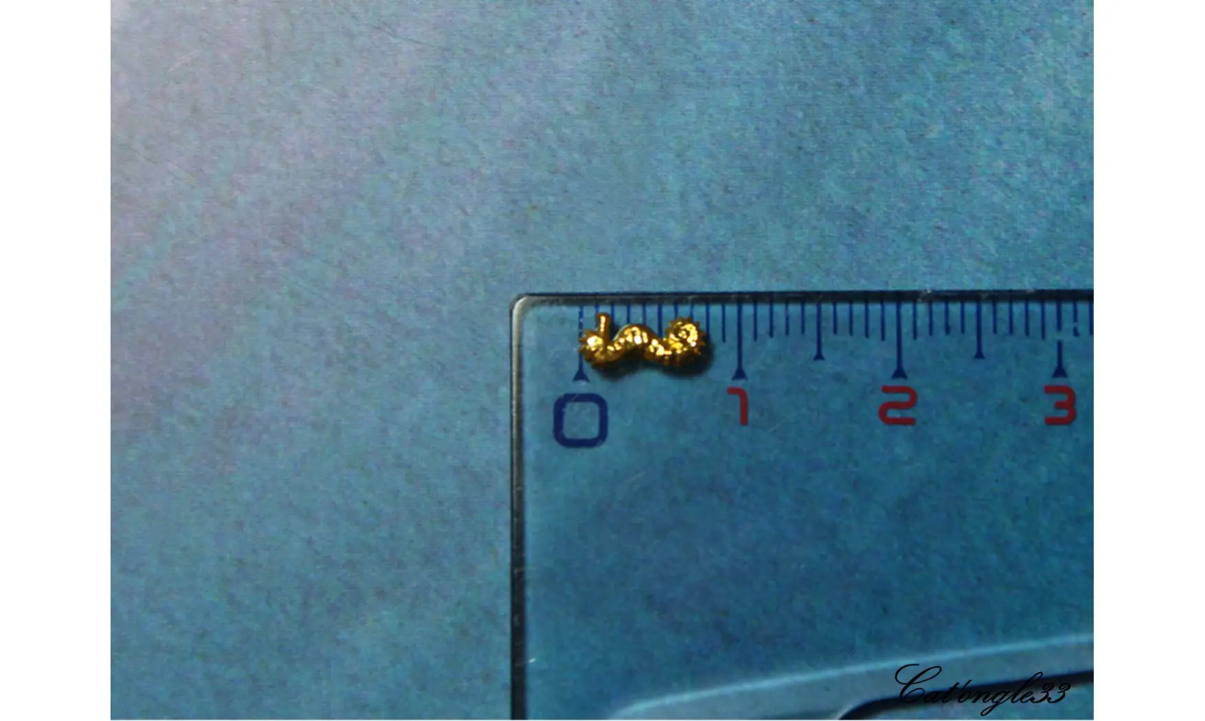 Forme métal 3D hippocampe x5