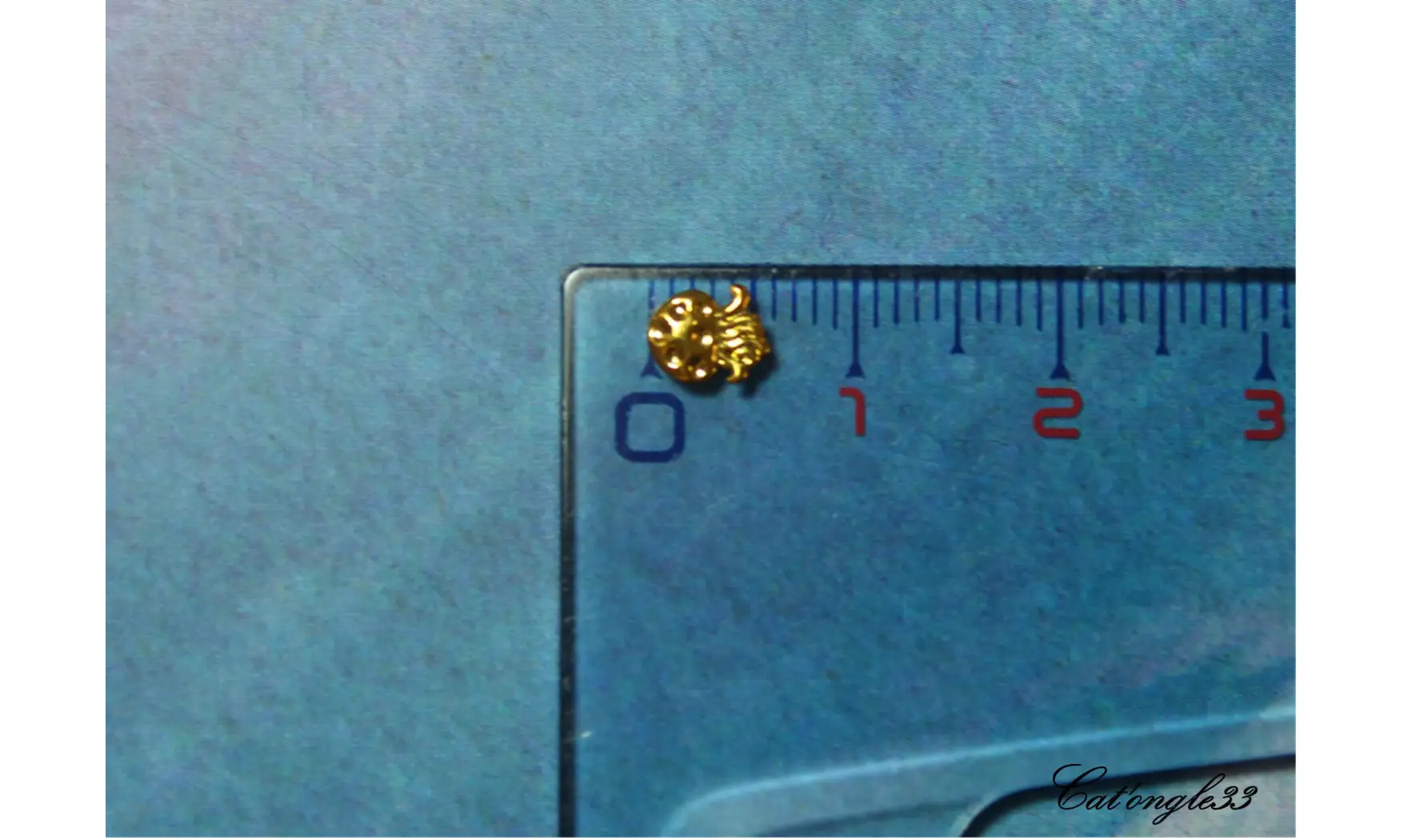 Forme métal 3D méduse x5
