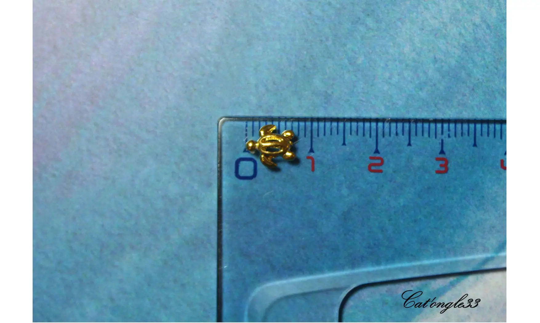 Forme métal 3D tortue x5