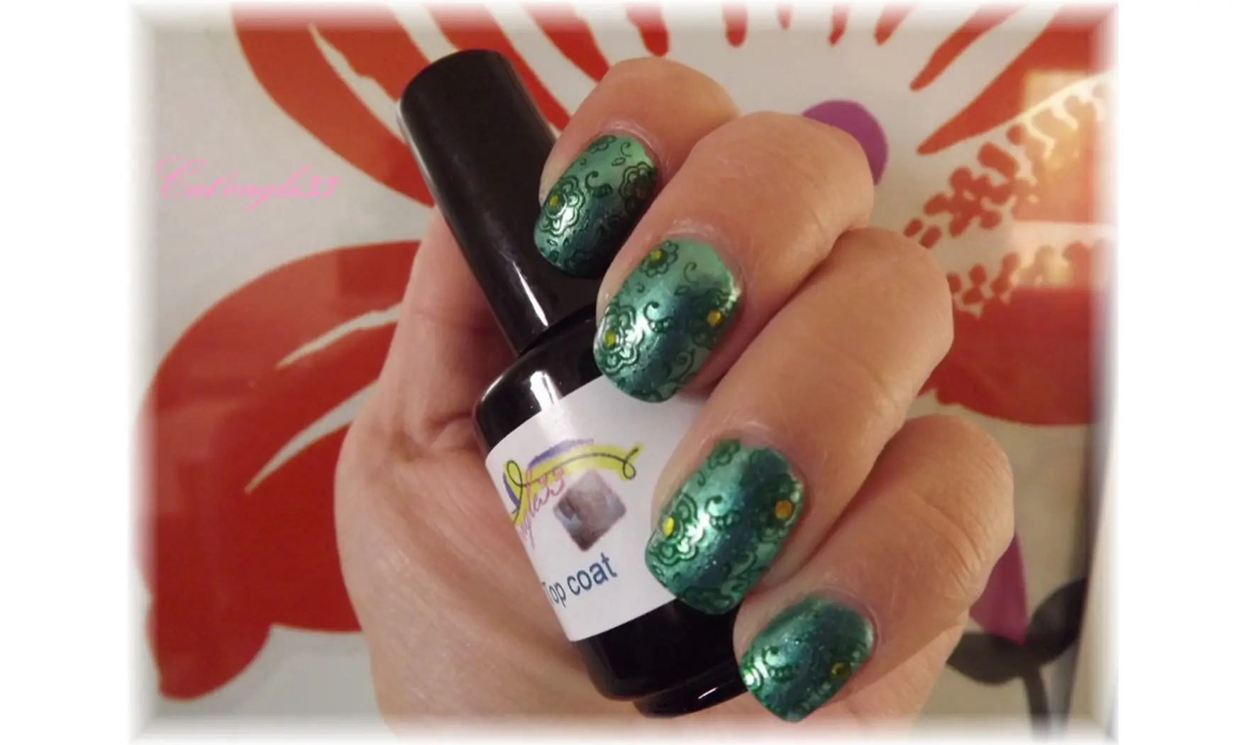 Liquide palisade vernis anti-débordement