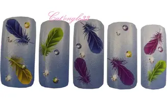 Water décal plume couleur K036B