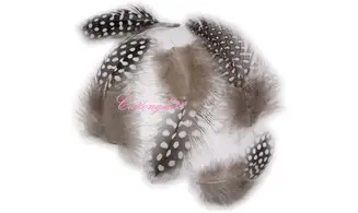 Plume blanche nail art