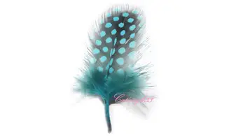 Plume bleu nail art