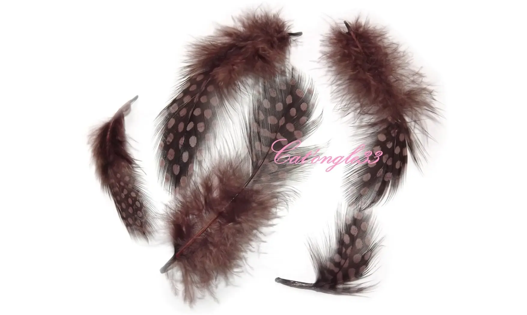 Plume marron nail art