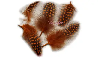 Plume orange nail art