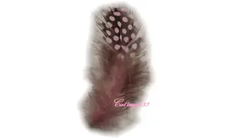 Plume rose nail art