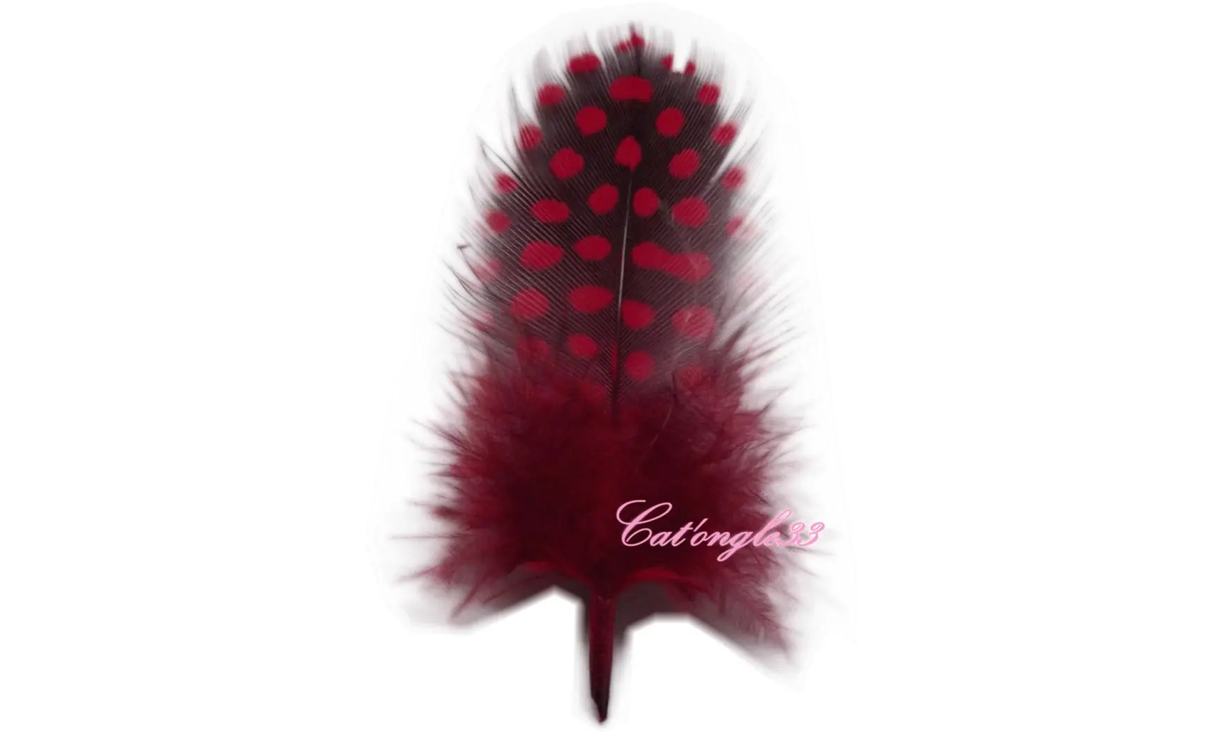 Plume rouge nail art