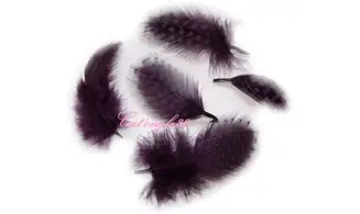 Plume violette nail art