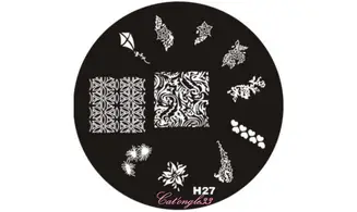 Plaque stamping H27 ronde nail art
