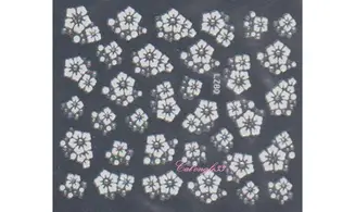 Stickers blanc brillant LZ80 ou QLZ153