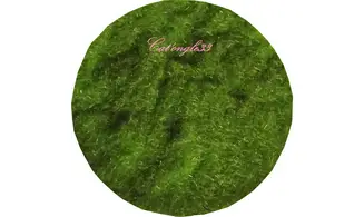 Poudre velours vert