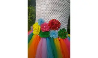 Licorne arc en ciel
