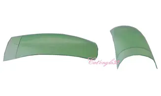 Capsules tips french verte transparente