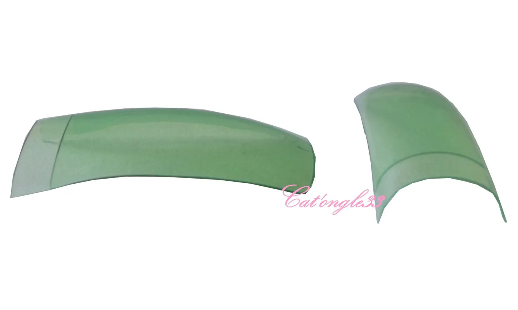 Capsules tips french verte transparente