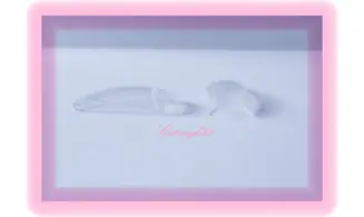 Capsules transparente ongles rongés