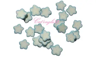 Sachet de fimo étoile bleu clair