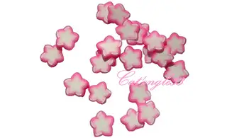 Sachet de fimo étoile rose