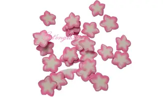 Sachet de fimo étoile rose clair