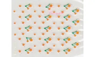 Stickers couleur FSMJ-018
