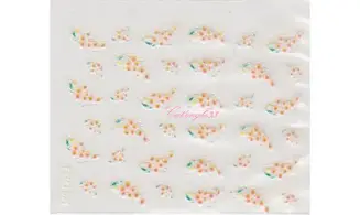 Stickers couleur FSMJ-021