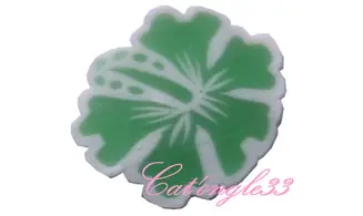 Sachet fimo hibiscus vert