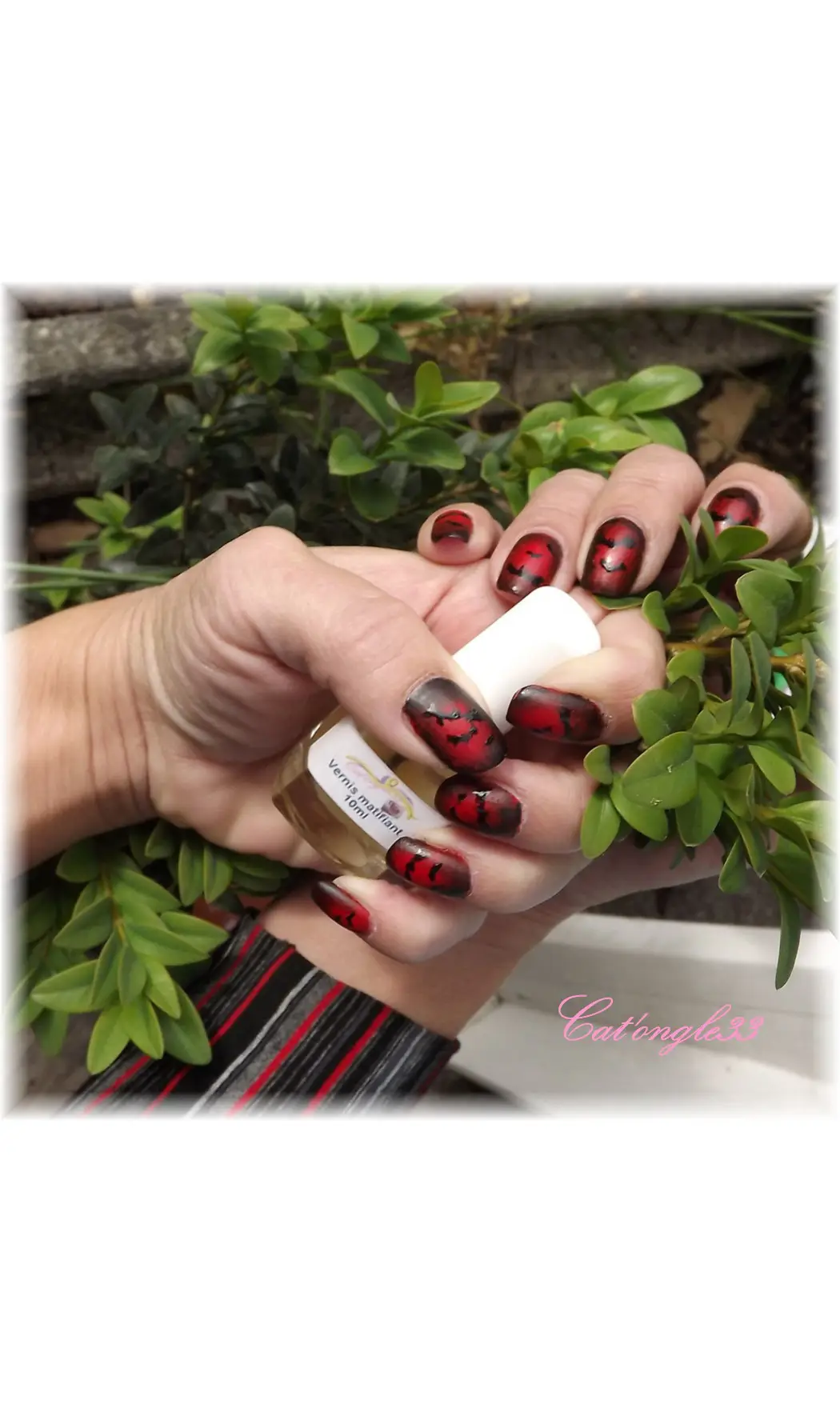 Vernis mat top coat 10 ml