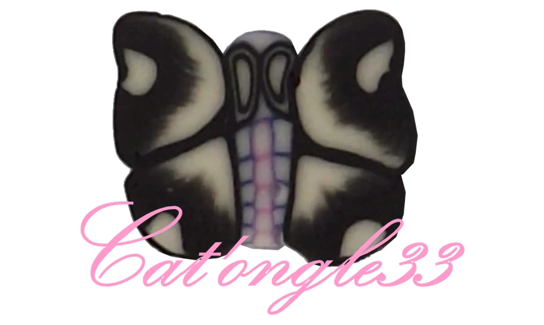 Sachet de fimo papillon noir