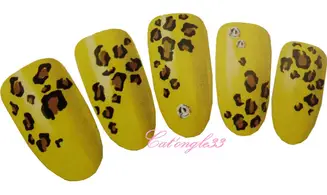 Water décal tache kaki H038A