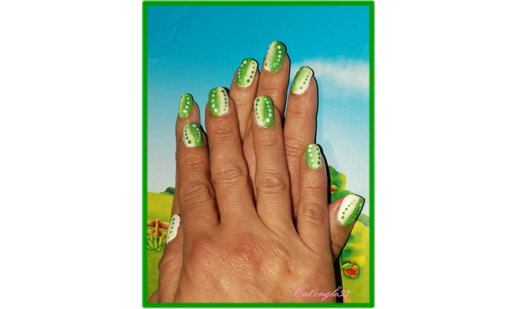 Liquid palisade vernis anti-débordement