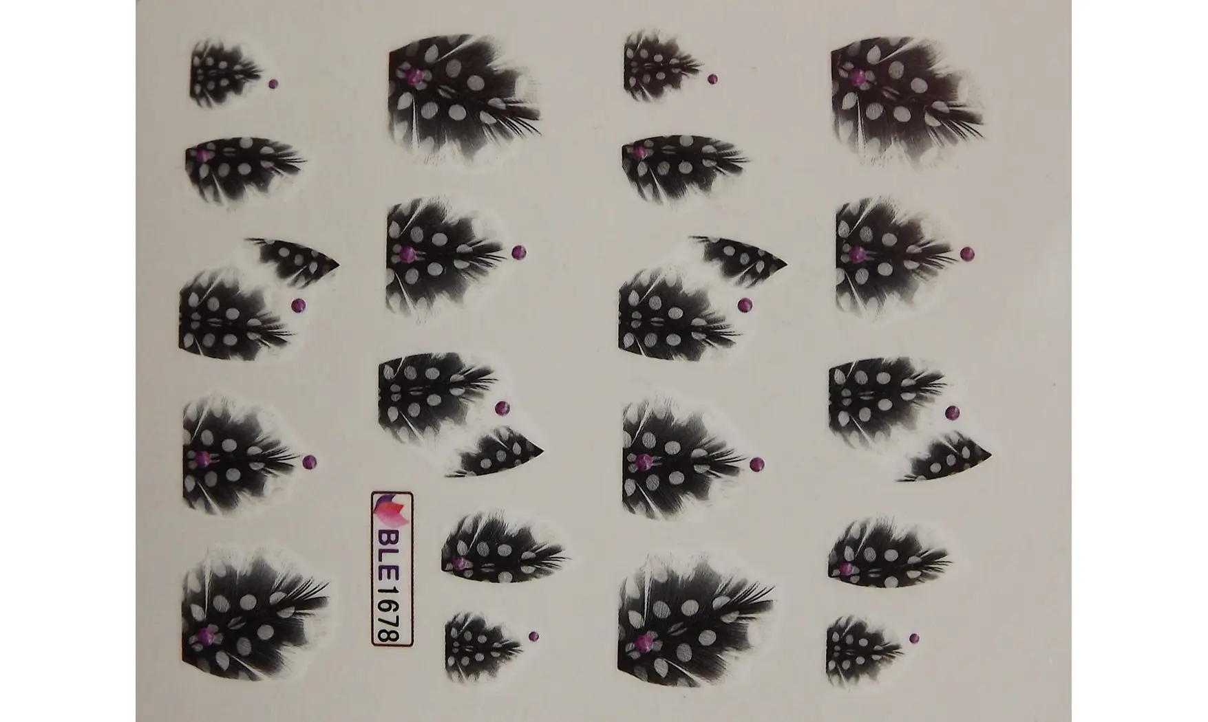 Water decal plume noir blanche BLE1678