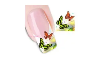 Water decal french biais papillon XF1320