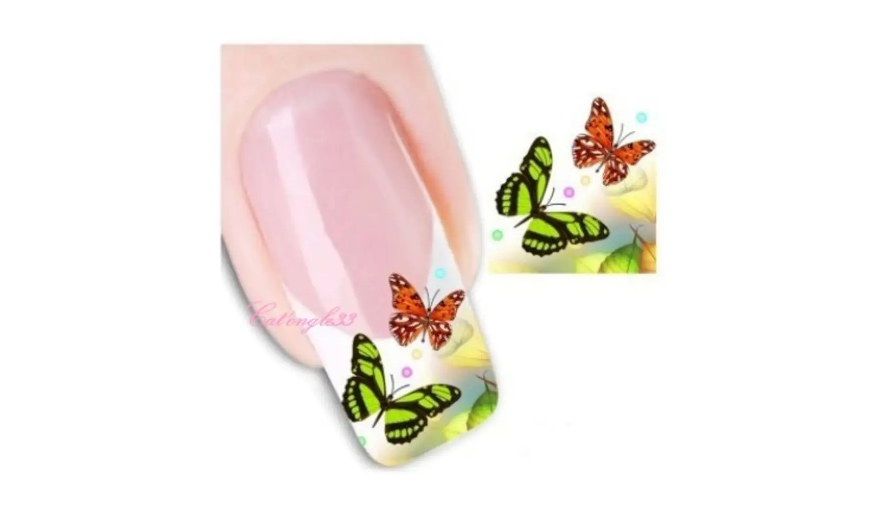 Water decal french biais papillon XF1320